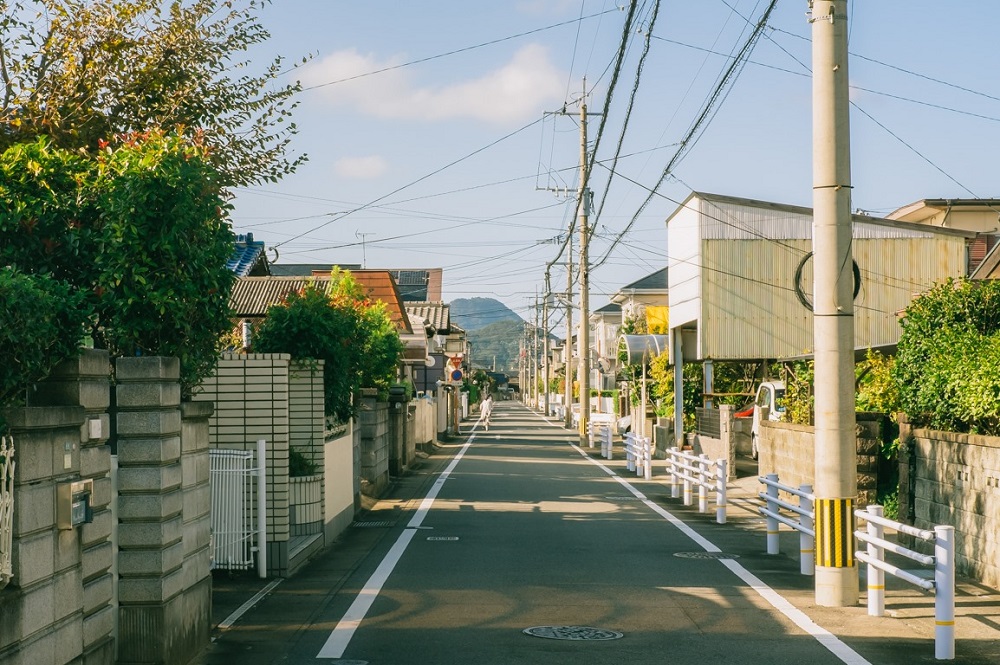 Nông thôn Nhật Bản - ảnh 12