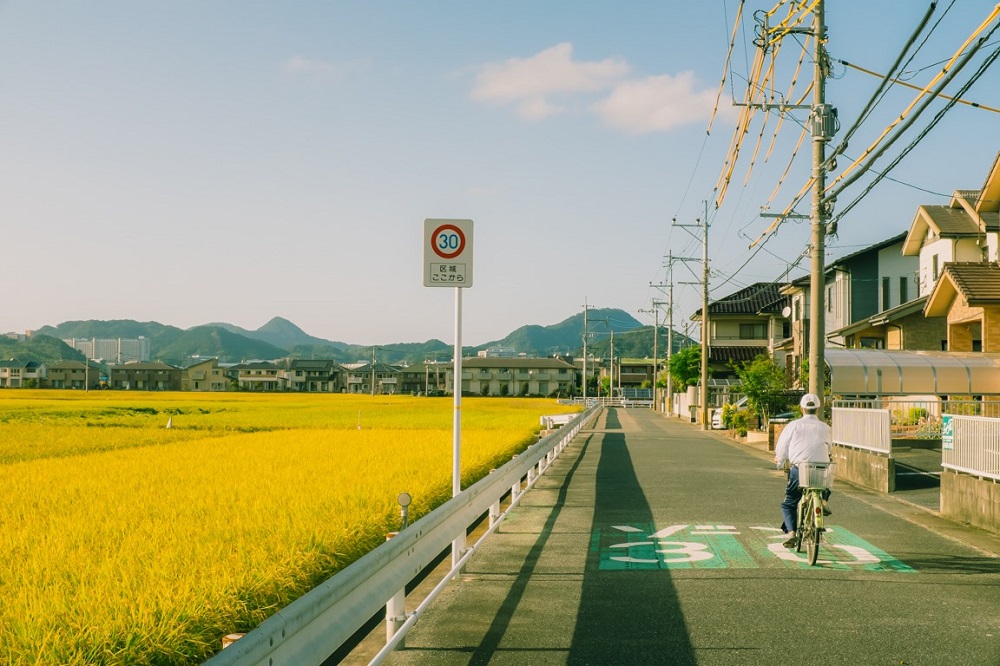 Nông thôn Nhật Bản - ảnh 17