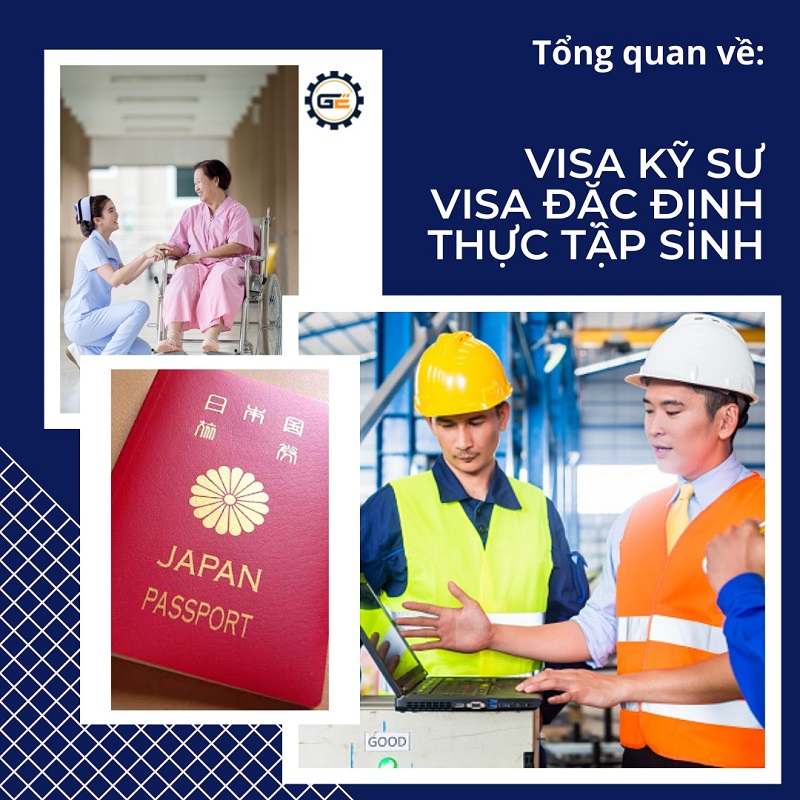 Visa kỹ sư, Visa đặc định hay Thực tập sinh: Chương trình nào phù hợp với bạn?